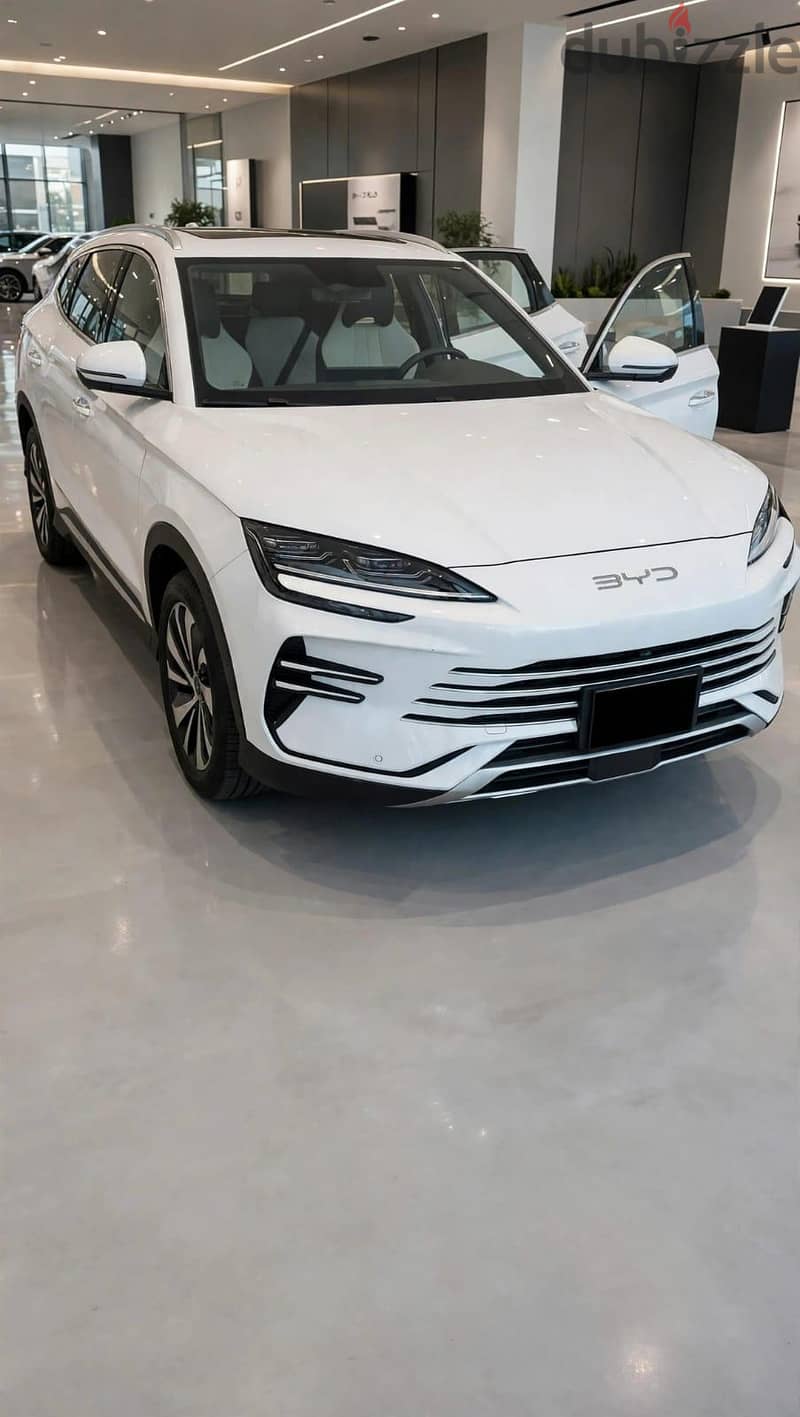 BYD 2025 1