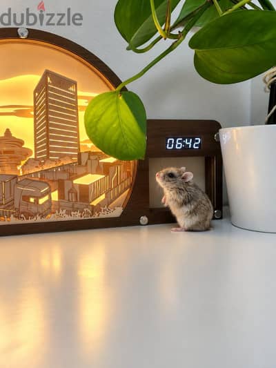 hamster