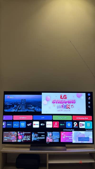 LG OLED c4 55 inch