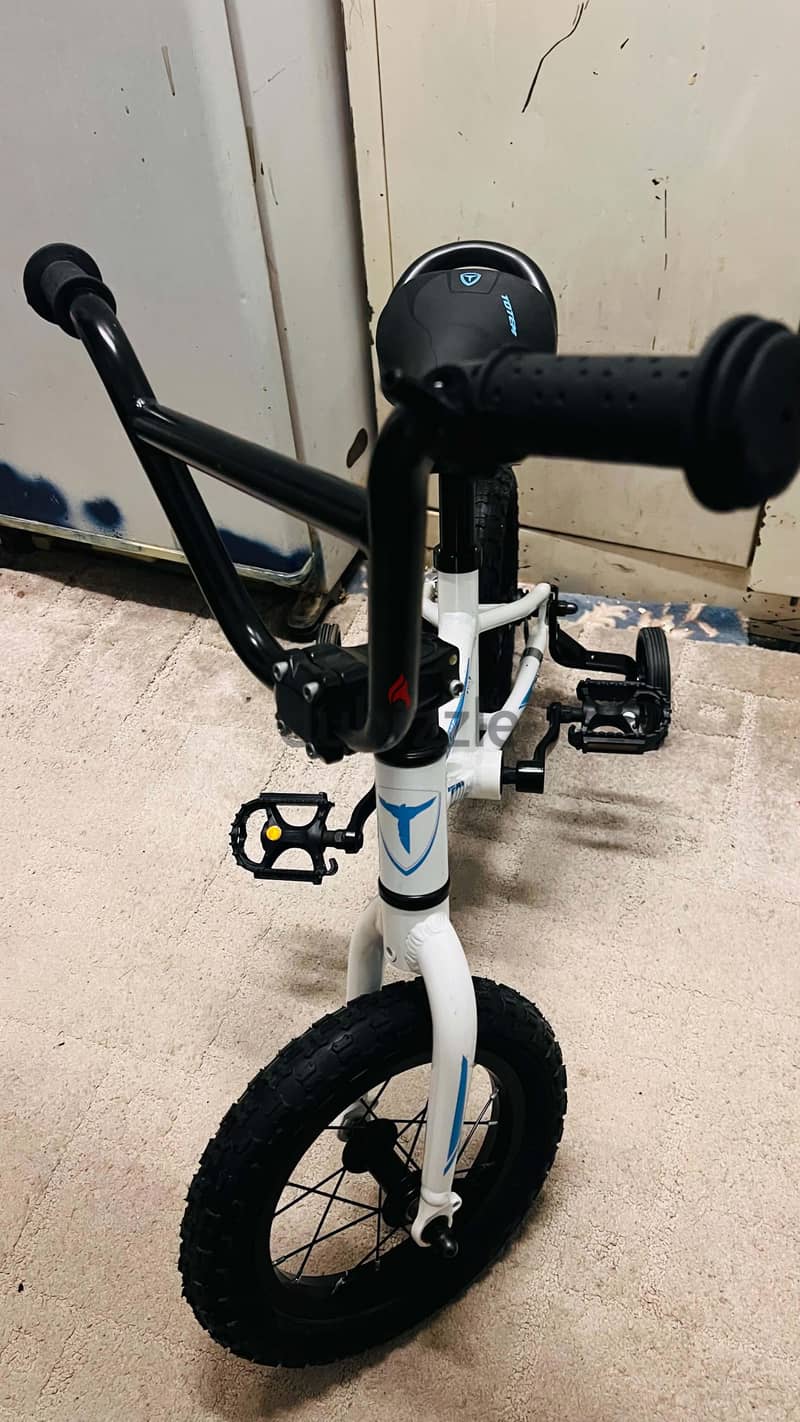 totem kids bycycle 5