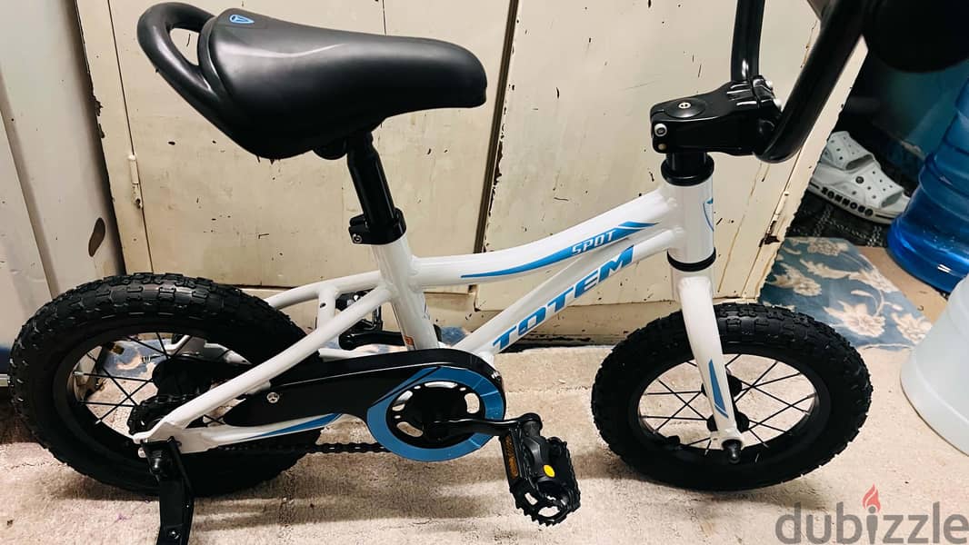 totem kids bycycle 6