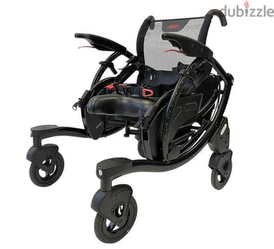 Assistive Mobility Devices