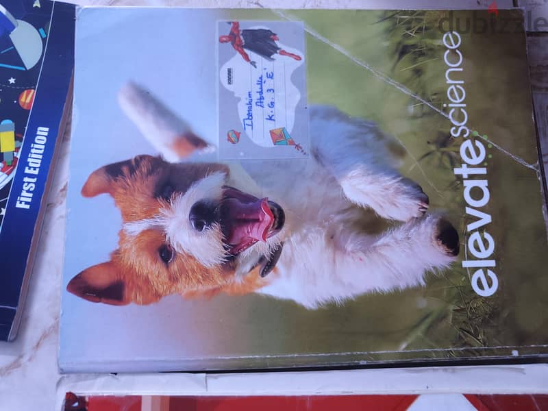American curriculum books of kg2 and kg3 2