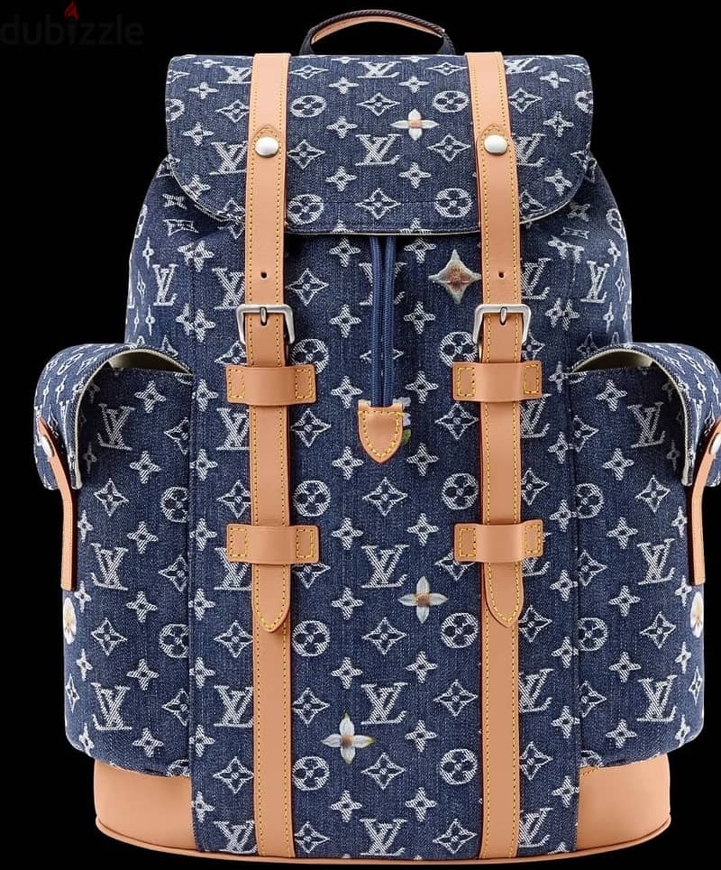 Louis Vuitton backpack 1