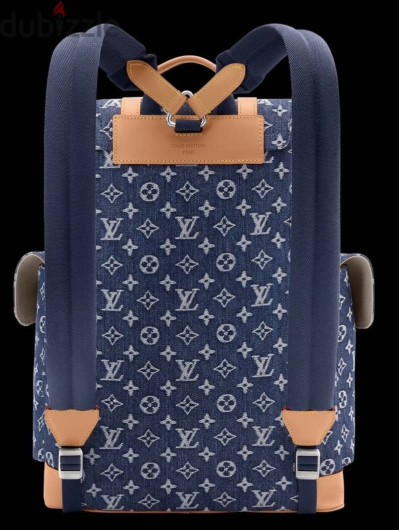 Louis Vuitton backpack 2