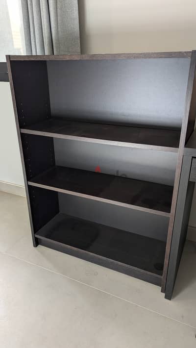 Ikea Billy Bookcase