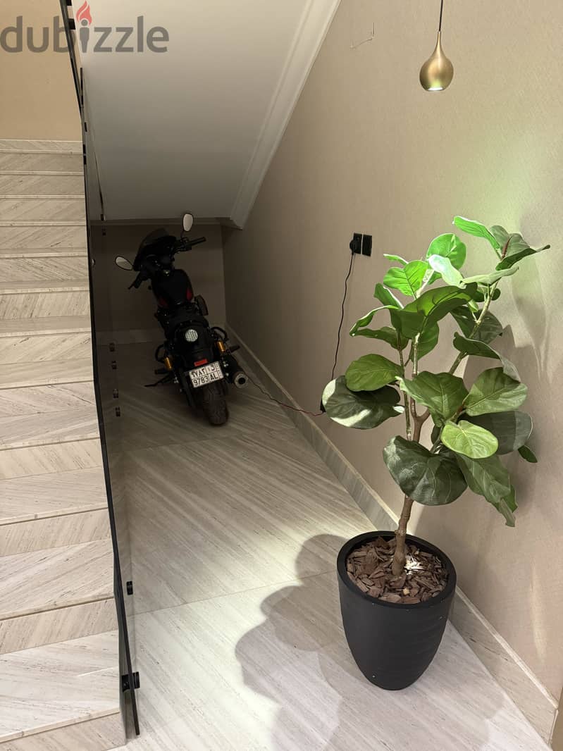 2024 Yamaha Bolt For Sale 3