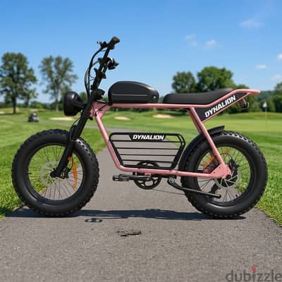 Electric Bicycle Retro Fat-Tire Road Bike 48V 1000W Motor