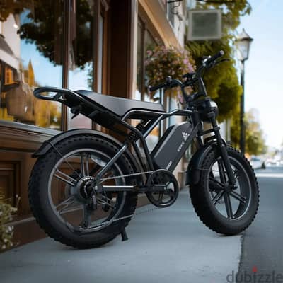 R002 Plus EU Stock 20" Fat Tire E Bike 48V 25A Battery Off-Road Bicycl