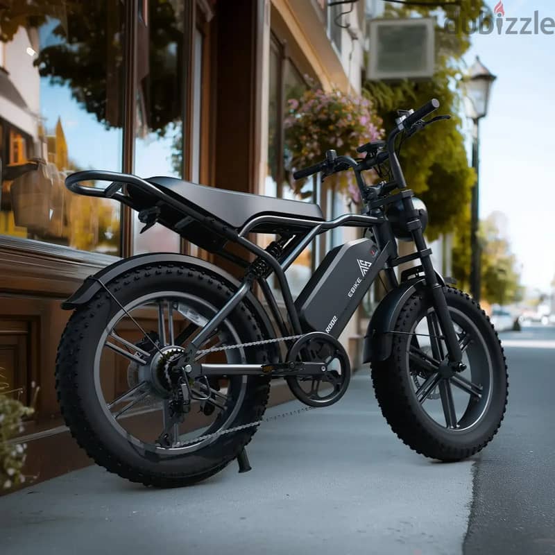 R002 Plus EU Stock 20" Fat Tire E Bike 48V 25A Battery Off-Road Bicycl 2