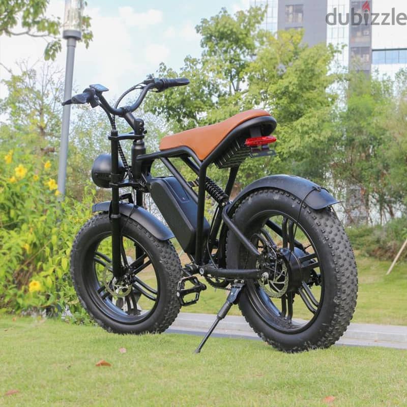 Electric Mountain Fat Bike 20inch Disc Brake Lithium Battery 250W 2
