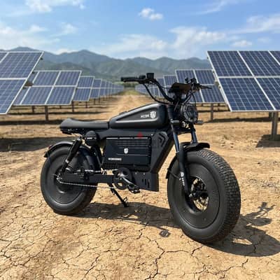 HCBK-SS10 Newest Design Black Warrior Electronic Aluminium Alloy
