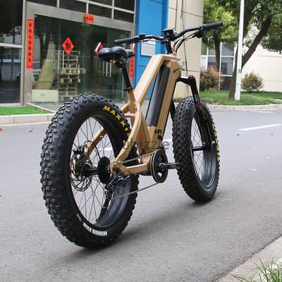 Leili Factory 1000w Warthog Ebike Chain Drive Fat Tire Electric Bicycl