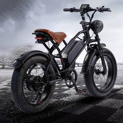 Electric Bikes 7 Speed 20 Inch Fat Bike Rear Hub Brushless Motor 48V L