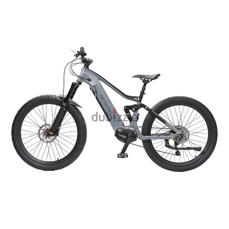 Powerful 48V 52V 500W 1000W Dual Motor Mountain Electric Bike Lithium 1