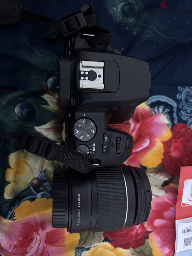 Canon EOS 250D DSLR - SAR 1800 1