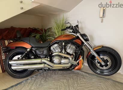 Harley Davidson V-rod 2004 Collection Item