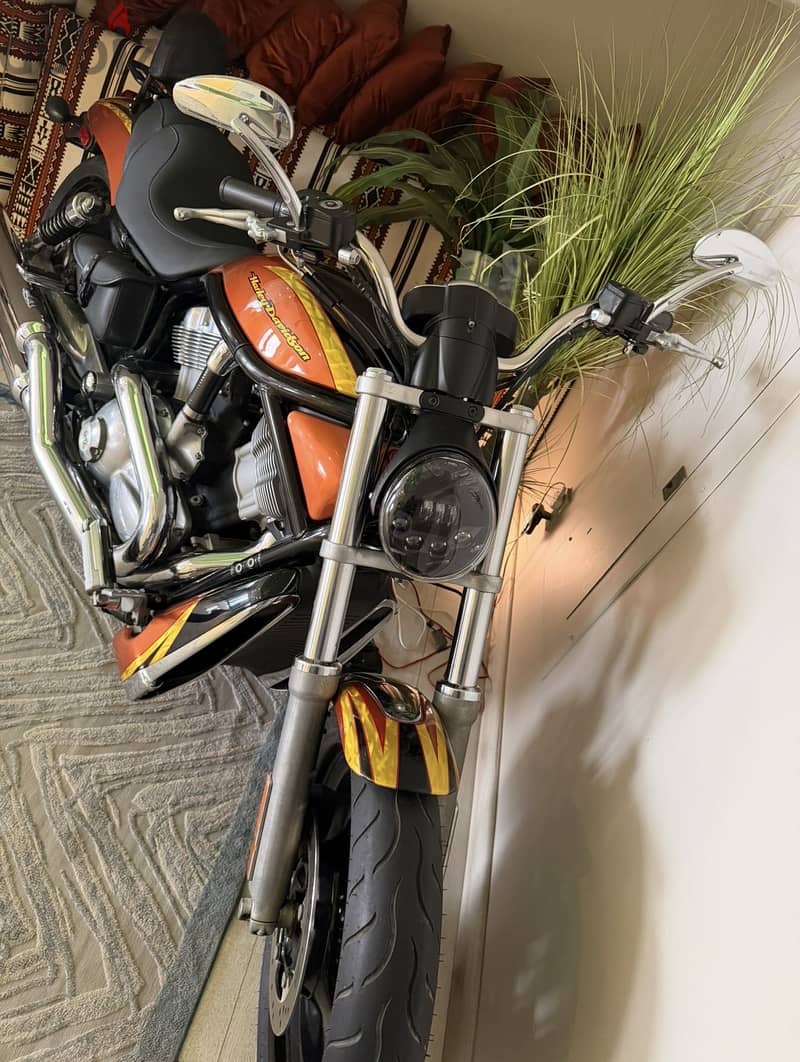 Harley Davidson V-rod 2004 Collection Item 1