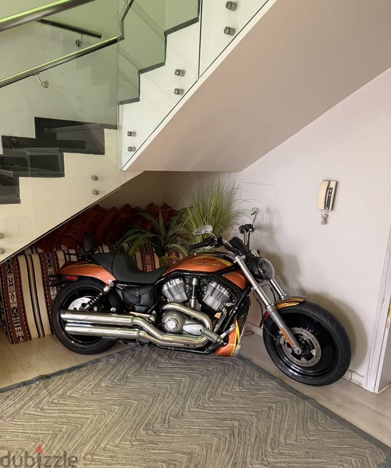 Harley Davidson V-rod 2004 Collection Item 6