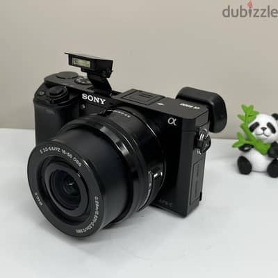 Sony Alpha a6000 24.3MP Mirrorless Digital Camera w/16-50mm OSS Lens