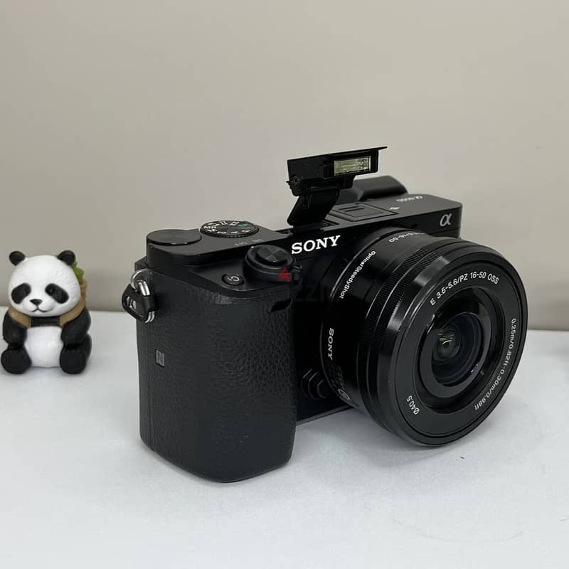 Sony Alpha a6000 24.3MP Mirrorless Digital Camera w/16-50mm OSS Lens 2