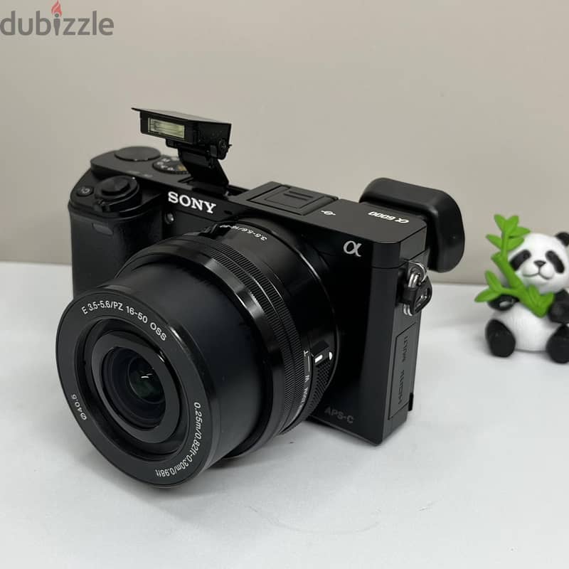 Sony Alpha a6000 24.3MP Mirrorless Digital Camera w/16-50mm OSS Lens 5