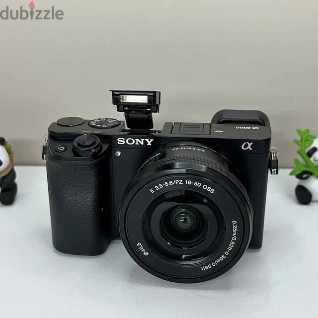Sony Alpha a6000 24.3MP Mirrorless Digital Camera w/16-50mm OSS Lens 7