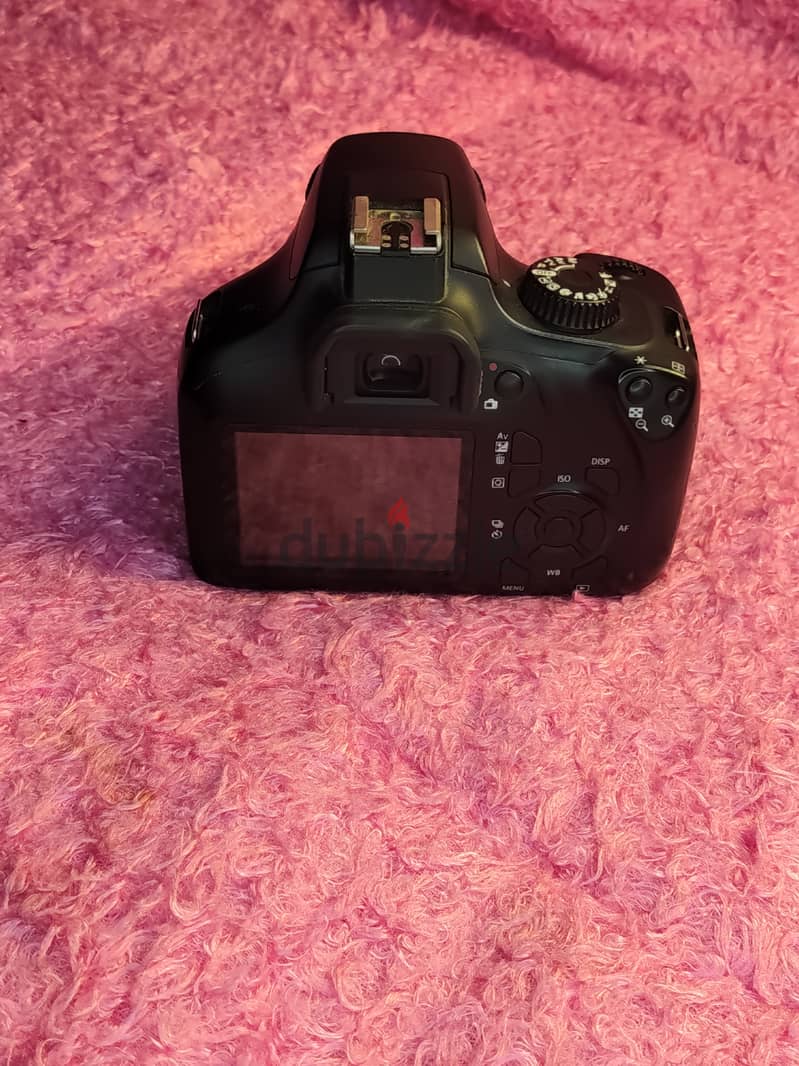 canon 4000d + lans 50mm + lans 75/300 1