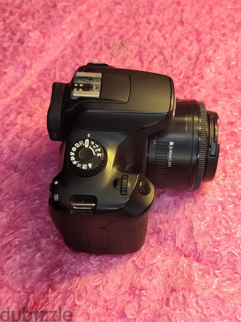 canon 4000d + lans 50mm + lans 75/300 3
