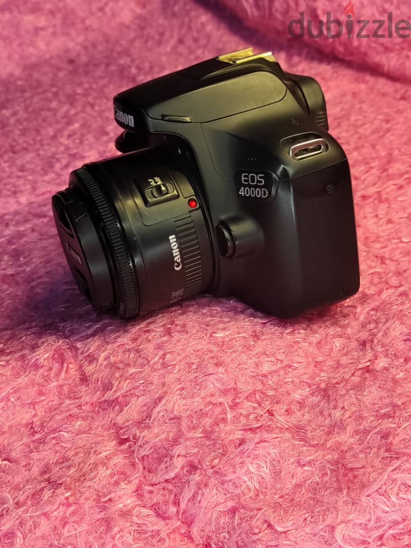 canon 4000d + lans 50mm + lans 75/300 4
