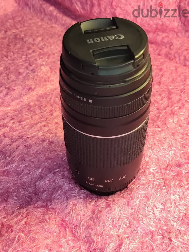 canon 4000d + lans 50mm + lans 75/300 5