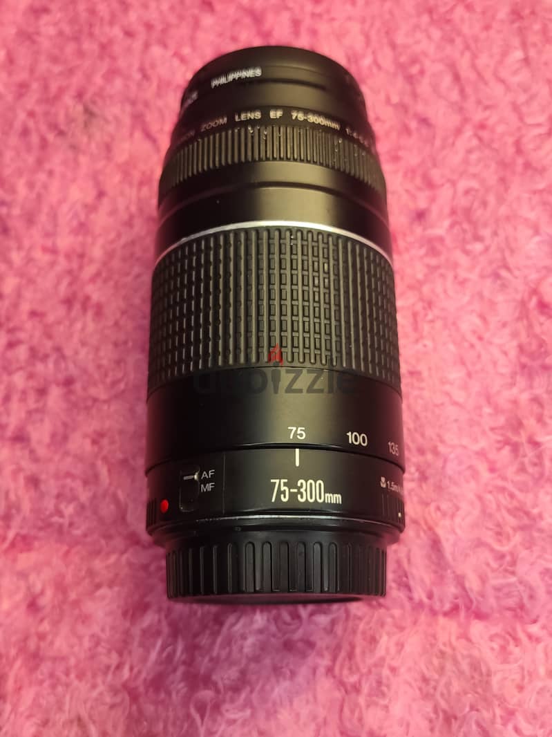 canon 4000d + lans 50mm + lans 75/300 7