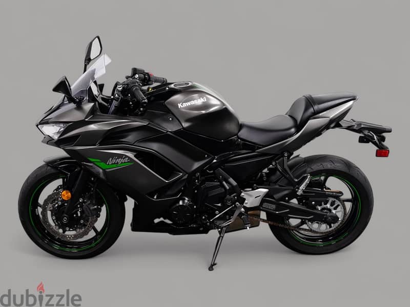 2024 Kawasaki Ninja 650 available +44 7507 647630 2