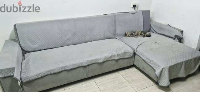 homebox sofa cum bed