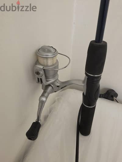 fishing rod with reel