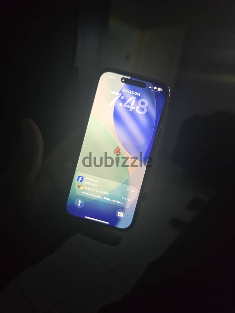 17 pro max 256 gb 2