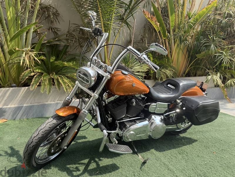 Harley Davidson Low Rider 2015 4
