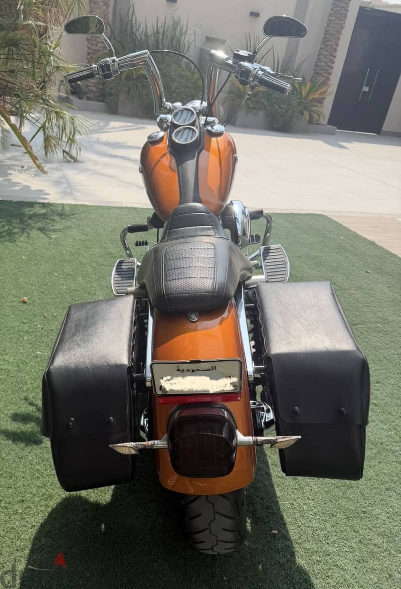 Harley Davidson Low Rider 2015 5