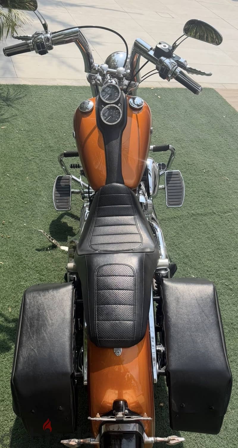 Harley Davidson Low Rider 2015 6