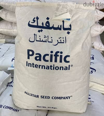 برسيم امريكي كاف ١٠١