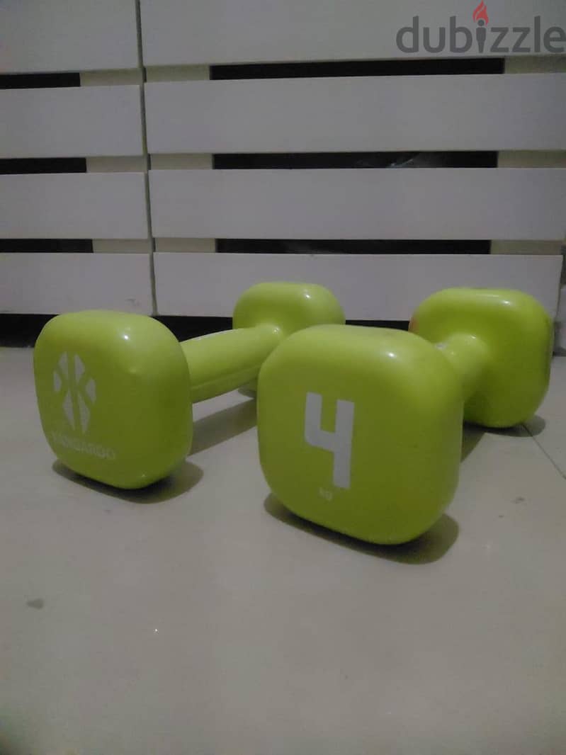 dum bells 1
