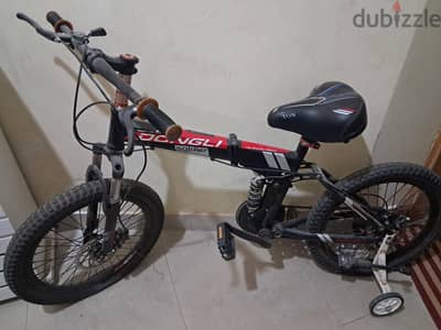 teenager bike