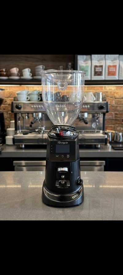 Fiorenzato F64 Evo coffee beans Grander colour silver and black