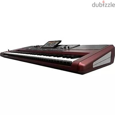 Korgs PA1000 61-Key Professional Arranger Keyboard with E-INK Screen