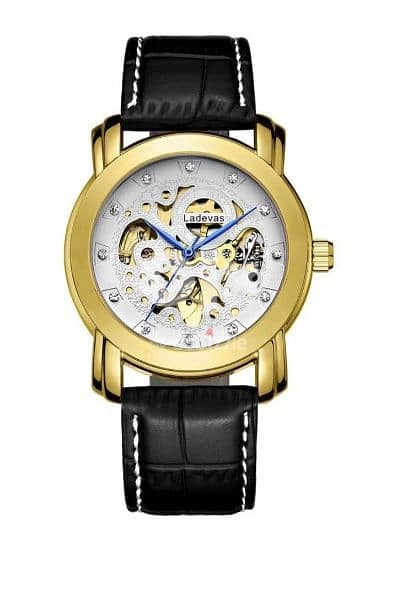 mechanical watch winner 2